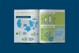 CSWE Summary Report Interior Infographic
